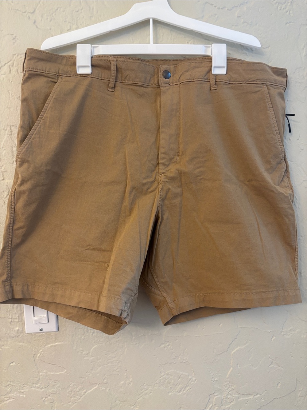 NWT American Eagle Outfitters Men's Tan Flat Front Shorts
